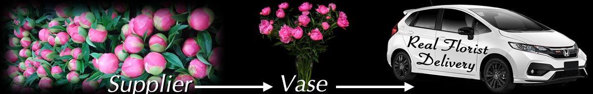 Peony Roses Supplier to Vase